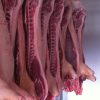 Chilled Frozen Pork Half Carcass - Agrodanieli
