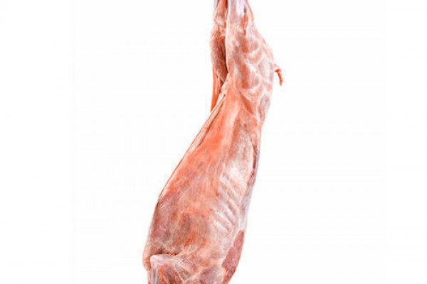 Halal Fresh Whole Lamb Carcass - Agrodanieli