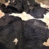 Wet salted Cow Hides - Agrodanieli